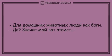 День точно не пройдет даром: уморительные анекдоты для хорошего настроения (ФОТО)