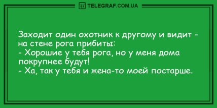 Все начинается с улыбки: свежая порция утренних анекдотов (ФОТО)