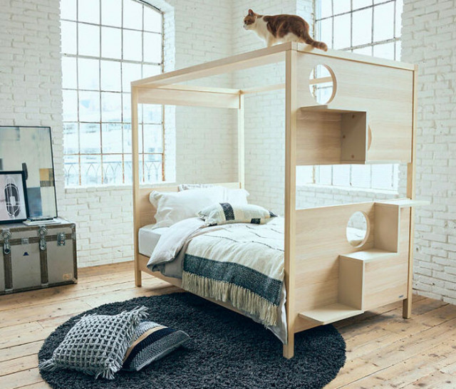 Японская компания объединила кровать с кошачьей башней  (ФОТО)