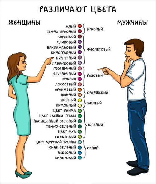 Мужчины vs. женщины: главные отличия (14 фото)