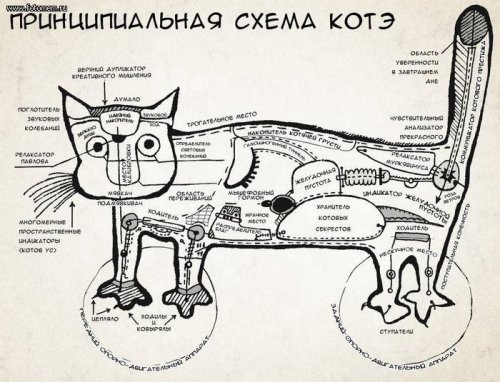 Прикольные картики, фото и комиксы