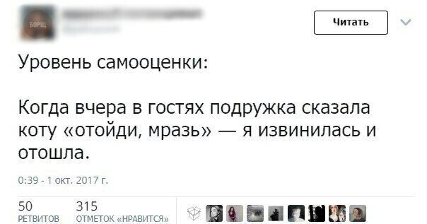  Когда у тебя заниженная самооценка, но с самоиронией все в полном порядке (21 фото) 