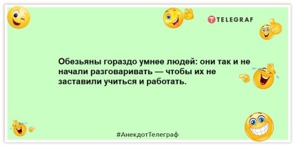 Как хорошо быть пессимистом. Ты или прав, или приятно удивлён: смешные анекдоты на вечер (ФОТО)