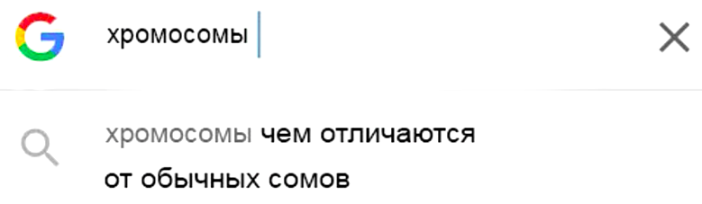 В сети поделились самыми глупыми запросами в поисковиках