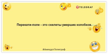 Я конечно не собака, но моя любимая команда - лежать: веселые шутки для настроения (ФОТО)