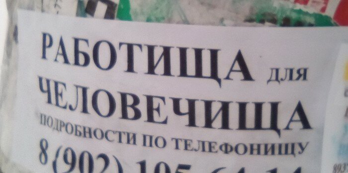  В поисках работы? Тогда ловите подборку крутых вакансий (22 фото) 