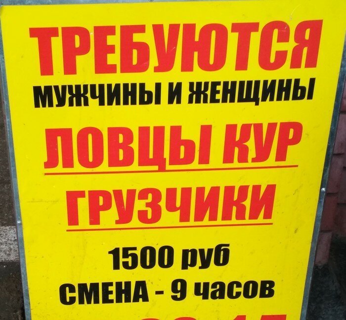  В поисках работы? Тогда ловите подборку крутых вакансий (22 фото) 