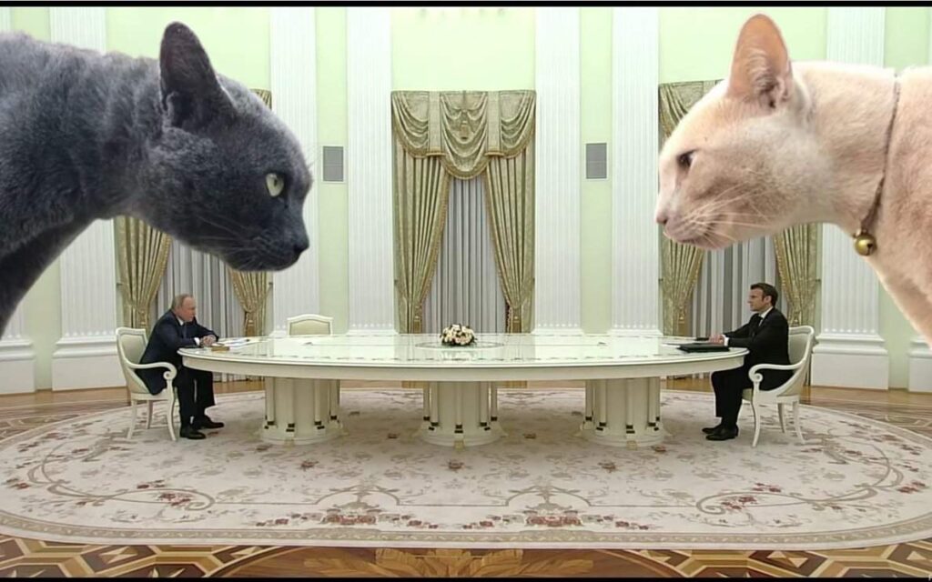 Огромный стол Путина на встрече с Макроном высмеяли фотожабами