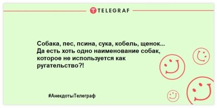 Смех без причины - признак хорошего настроения: веселые анекдоты 