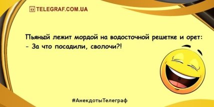 Ударная доза положительных эмоций: прикольные шутки на вечер 