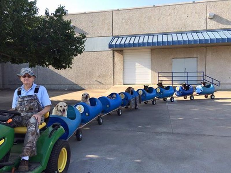 80-летний старик сделал поезд для брошенных собак. ФОТО