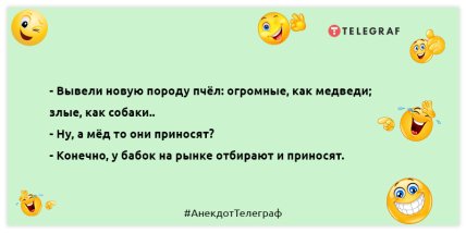 Вот и прошёл очередной день, в котором мне не потребовались интегралы: анекдоты для хорошего настроения (ФОТО)