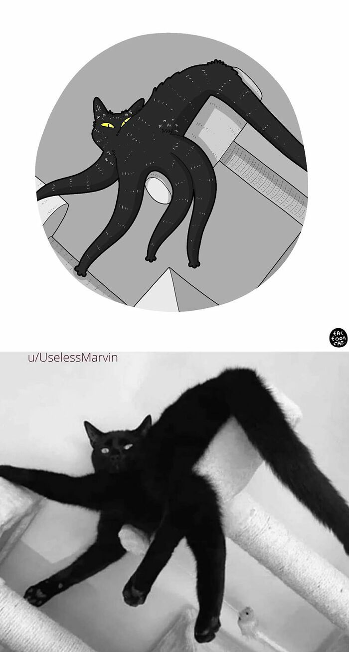 Парень превращает кошачьи фотомемы в иллюстрации (ФОТО) 