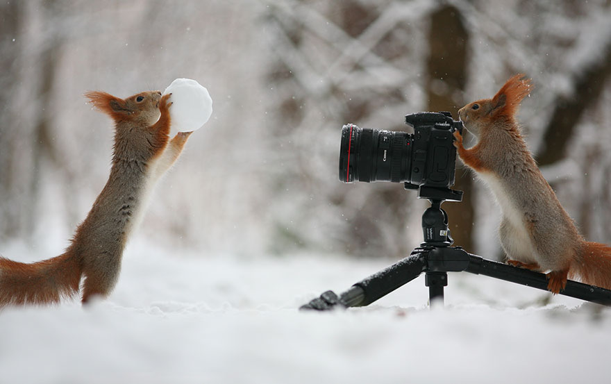 Тему зима, картинки зима природа прикольные