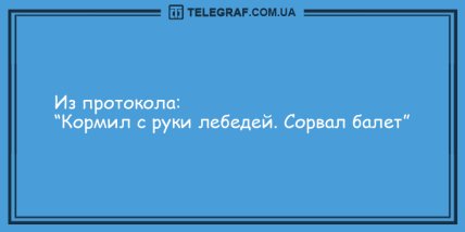 Антидот от грусти: уморительная порция веселых анекдотов (ФОТО)