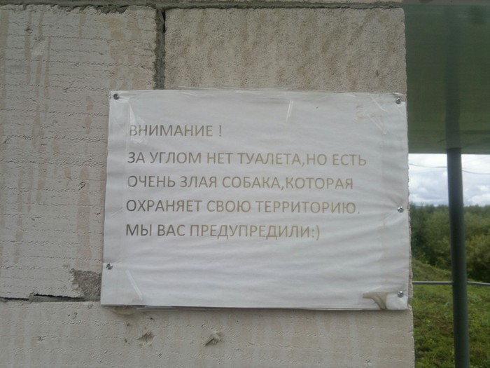 20 надписей, которые создавались в отчаянной попытке достучаться до сознания людей