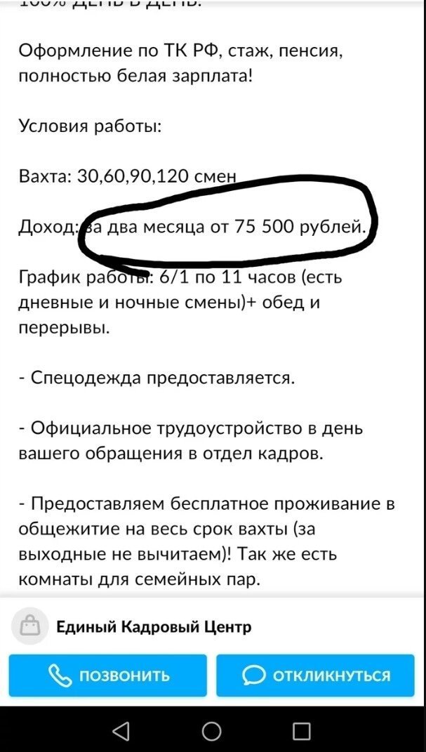  Кто сказал, что работы мечты не существует? Только факты (20 фото) 