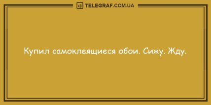 Угорала даже Несмеяна: вечерние анекдоты, которые вас рассмешат 