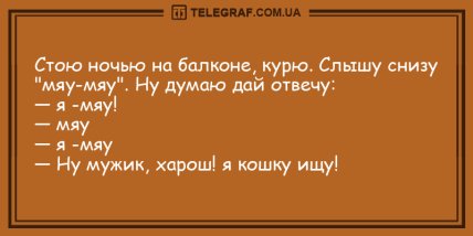 Угорала даже Несмеяна: вечерние анекдоты, которые вас рассмешат 