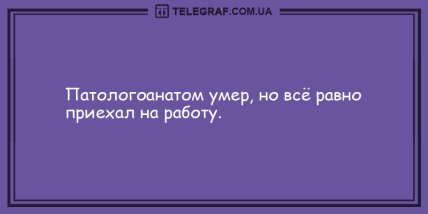 От улыбки станет всем светлей: смешные анекдоты (ФОТО)