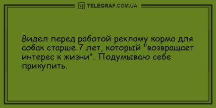 Улыбнись миру и он улыбнется в ответ: свежие анекдоты на вечер (ФОТО)