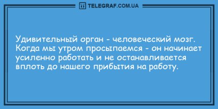 Много смеха и позитива в этот солнечный день: новые шутки  (ФОТО)