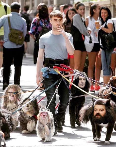 Дэниэл Рэдклифф на съёмках фильма вышел погулять с собаками и стал героем весёлой битвы фотошоперов