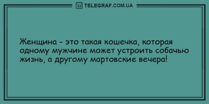 Продолжаем веселиться: подборка новых анекдотов на вечер (ФОТО)