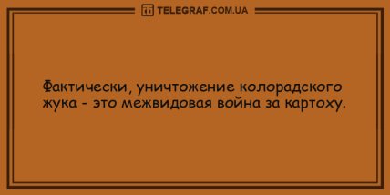 Долой скуку и плохое настроение: подборка веселых анекдотов на вечер (ФОТО)