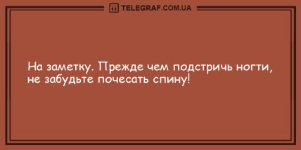 Все прекрасное начинается с улыбки: веселые анекдоты (ФОТО)