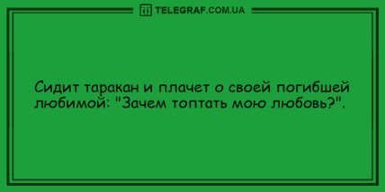 Настроение не покинет вас: прикольные анекдоты на день (ФОТО)