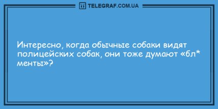 Минутка веселья: подборка анекдотов для удачного дня (ФОТО)