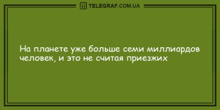 Немного веселья никогда не помешает: новая порция шуток на вечер 