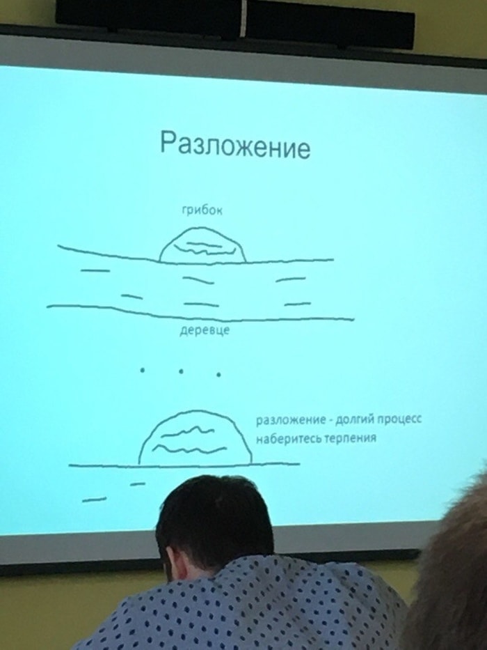 В сети появились кадры с «презентацией года» по биологии