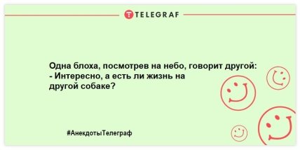 Смех без причины - признак хорошего настроения: веселые анекдоты