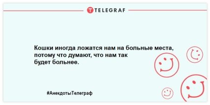 Юморок на вечерок: смешные шутки для поднятия настроения 