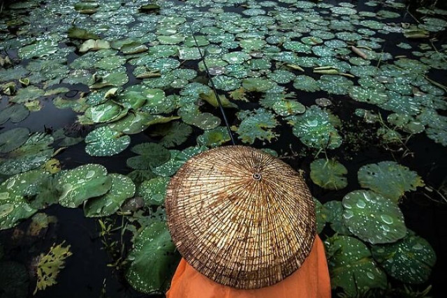 Люди и пейзажи Вьетнама в фотографиях