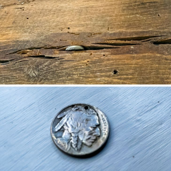 20 неожиданных и приятных находок: от необычной гусеницы до коллекционной монеты