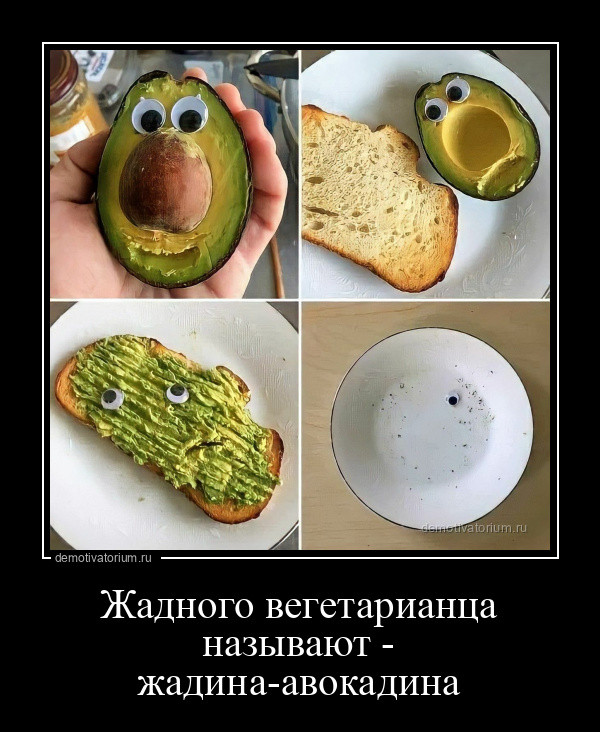 Свежая порция демотиваторов на любой вкус