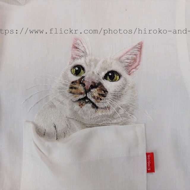 Кошки, выглядывающие из карманов рубашек, в искусных вышивках 