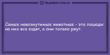 Все начинается с улыбки: свежая порция утренних анекдотов (ФОТО)