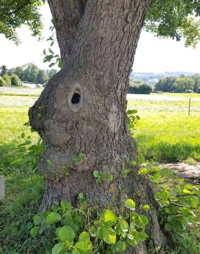 Прикольные фотографии, на которые придётся взглянуть дважды