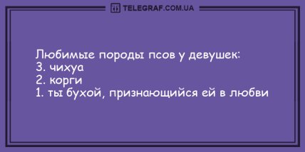 Подарите миру свою улыбку: подборка смешных анекдотов на день (ФОТО)