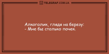 Отборные шутки в среду: веселые анекдоты на вечер (ФОТО)