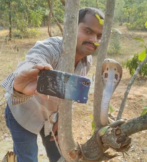 Нелепые фотки людей, не расстающихся с гаджетами