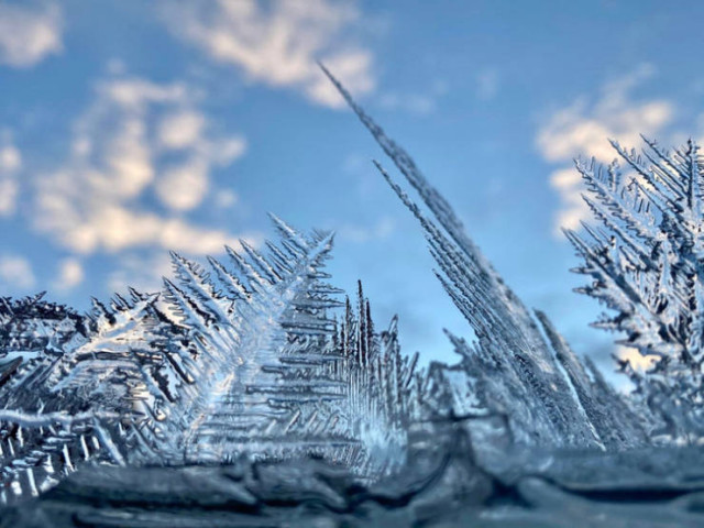 Фотодоказательства  того, что зима — талантливая художница с большой фантазией