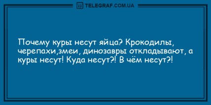 Нет времени для грусти: вечерние анекдоты, которые на дадут вам заскучать (ФОТО)