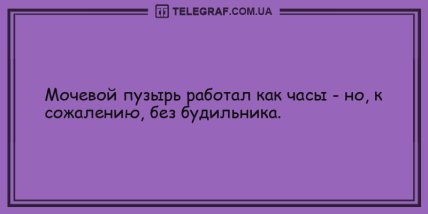 Настроение не покинет вас: прикольные анекдоты на день (ФОТО)