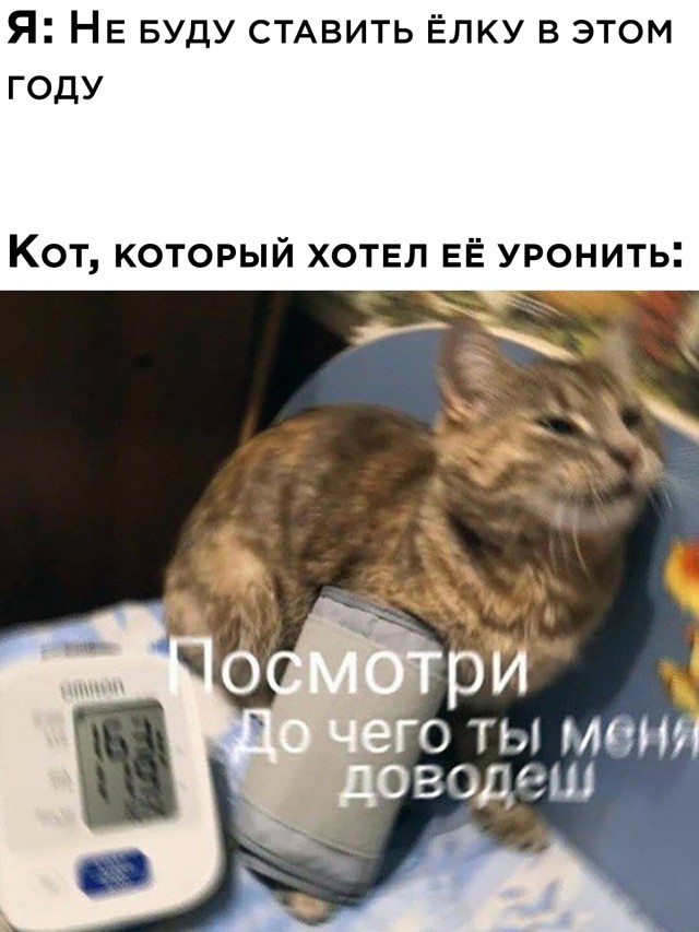 Приколы для отличного дня 