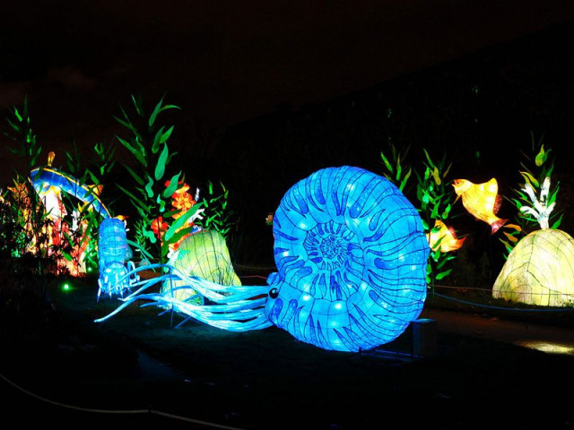 В парижском Саду растений проходит выставка светящихся скульптур